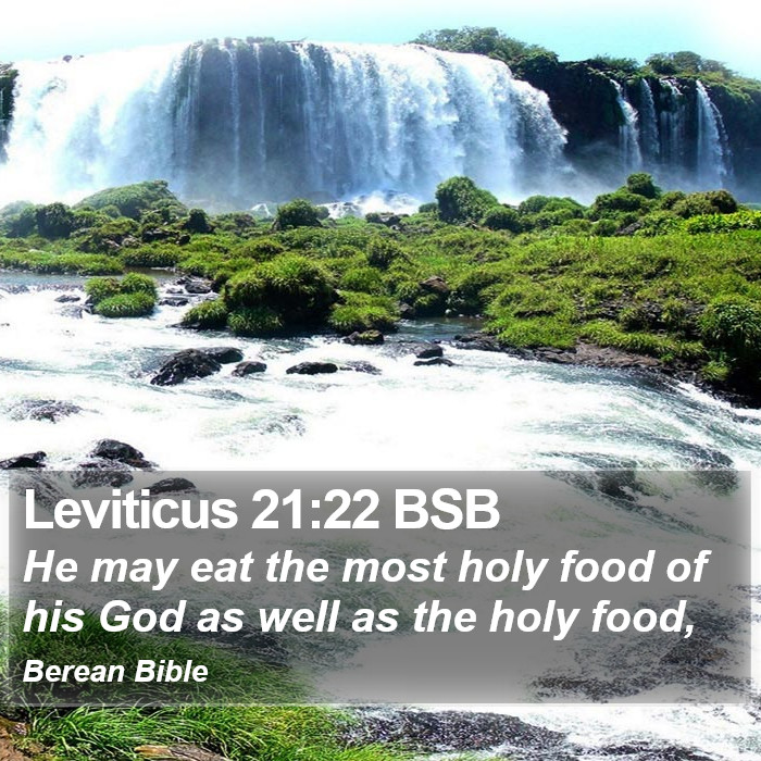 Leviticus 21:22 BSB Bible Study