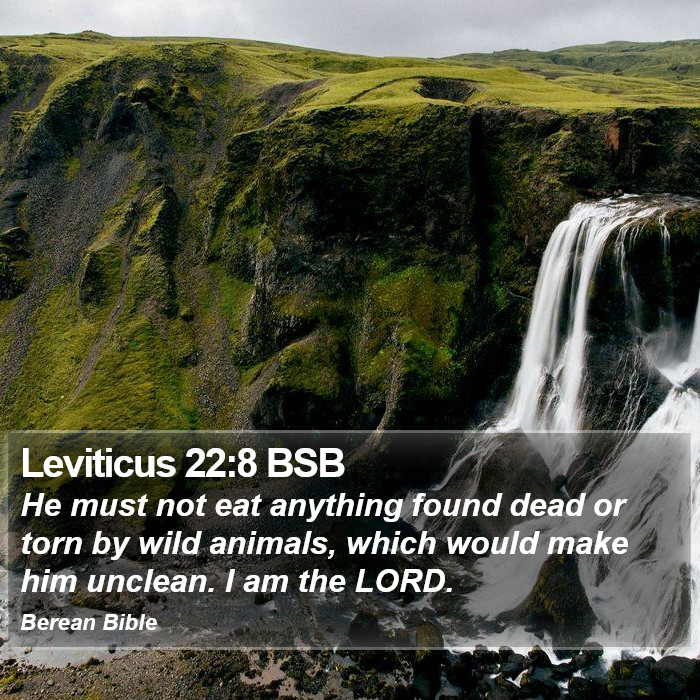 Leviticus 22:8 BSB Bible Study