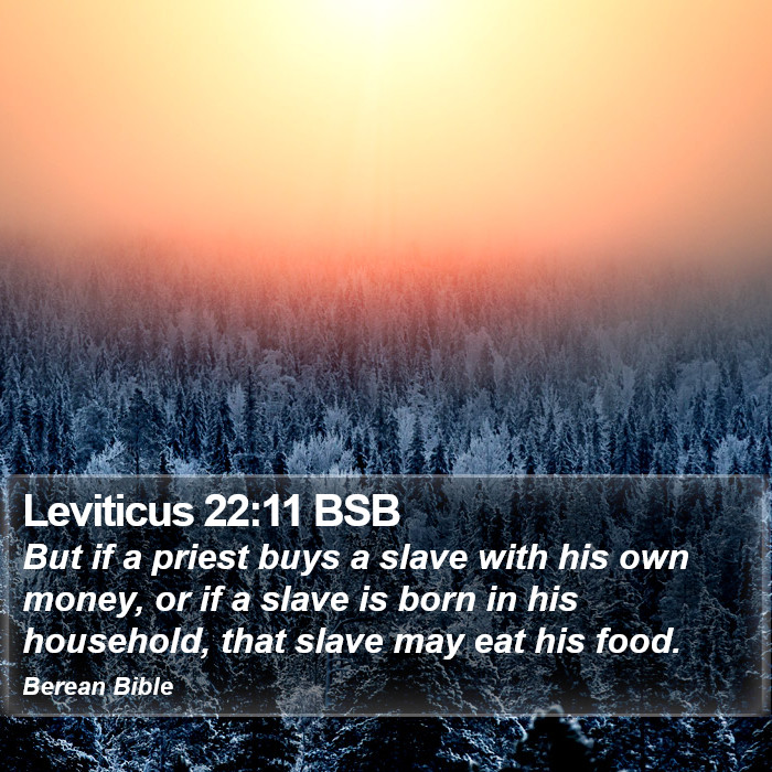 Leviticus 22:11 BSB Bible Study