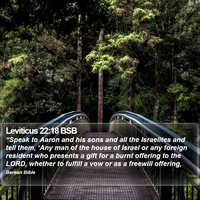 Leviticus 22:18 BSB Bible Study