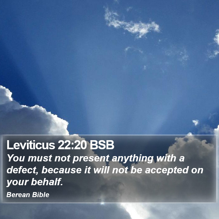 Leviticus 22:20 BSB Bible Study