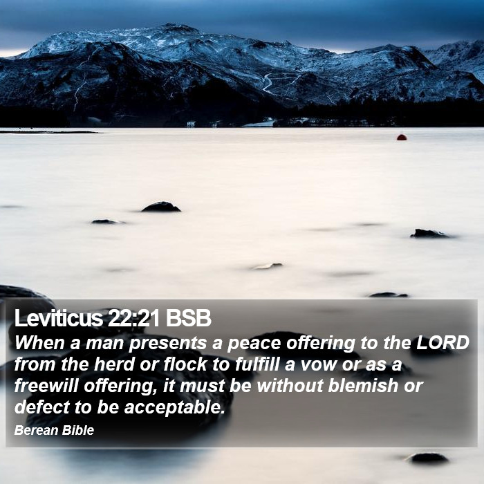 Leviticus 22:21 BSB Bible Study