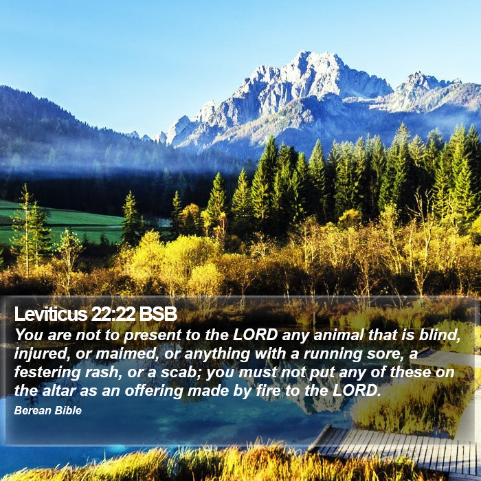 Leviticus 22:22 BSB Bible Study