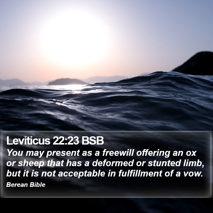 Leviticus 22:23 BSB Bible Study