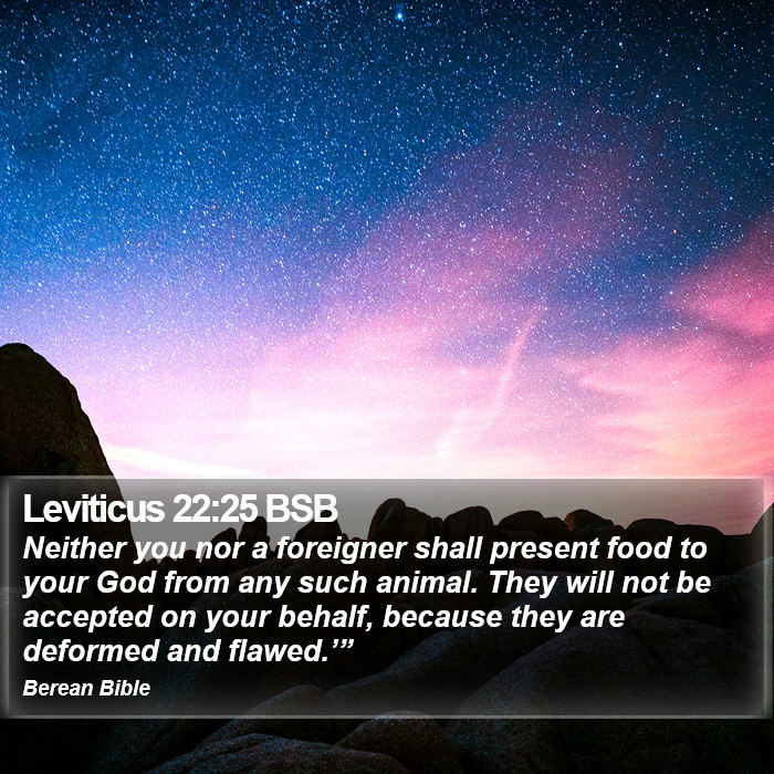 Leviticus 22:25 BSB Bible Study