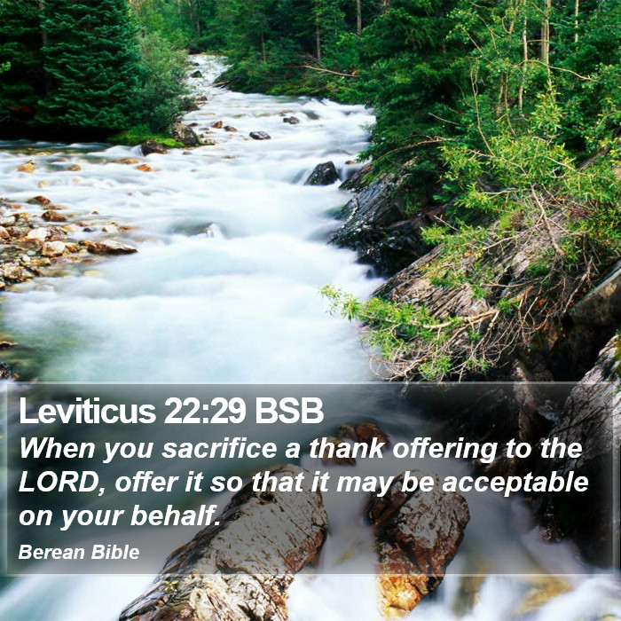 Leviticus 22:29 BSB Bible Study