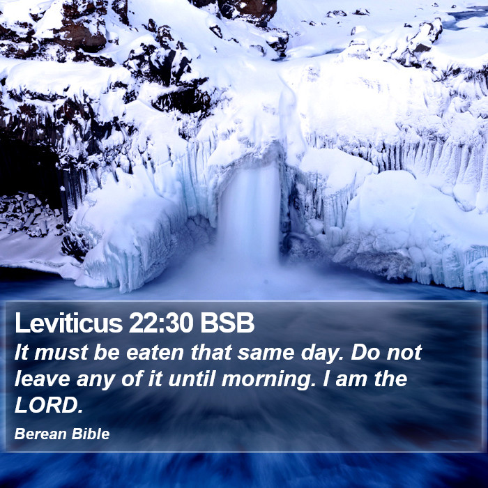 Leviticus 22:30 BSB Bible Study