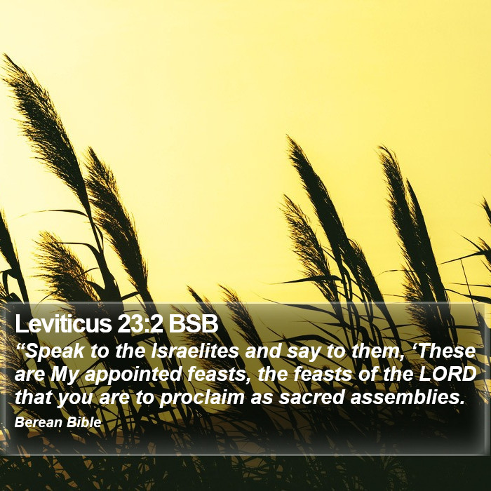 Leviticus 23:2 BSB Bible Study