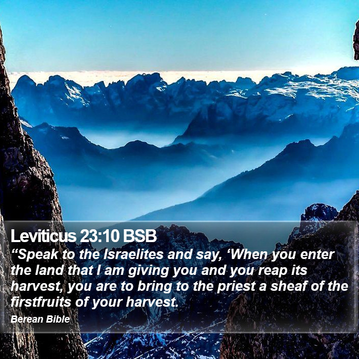 Leviticus 23:10 BSB Bible Study