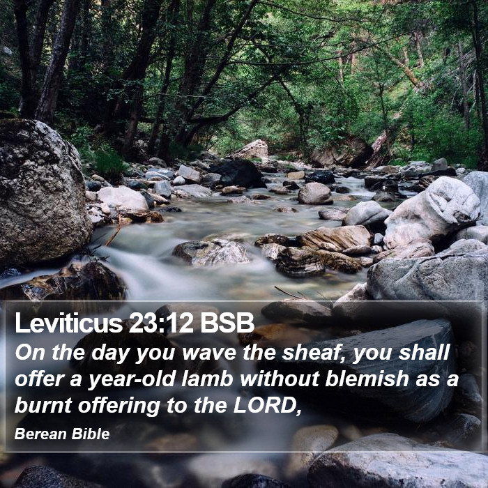 Leviticus 23:12 BSB Bible Study