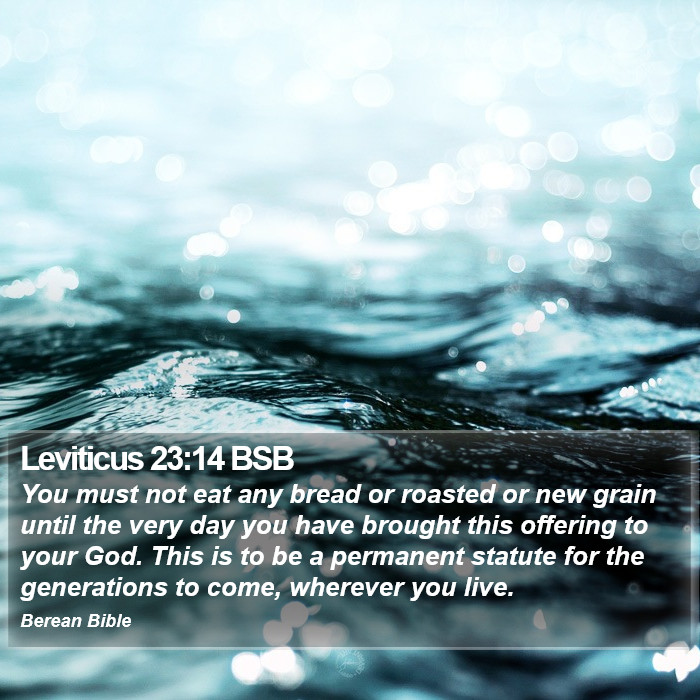 Leviticus 23:14 BSB Bible Study