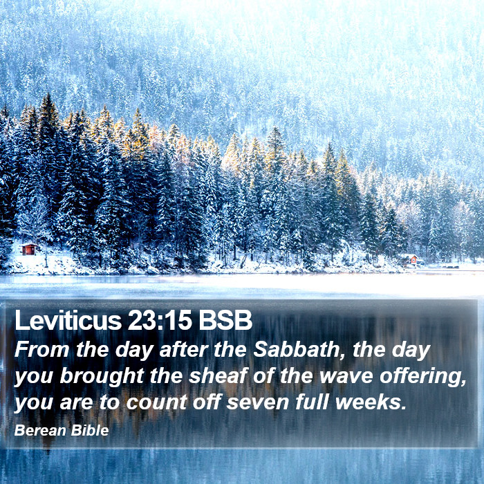 Leviticus 23:15 BSB Bible Study