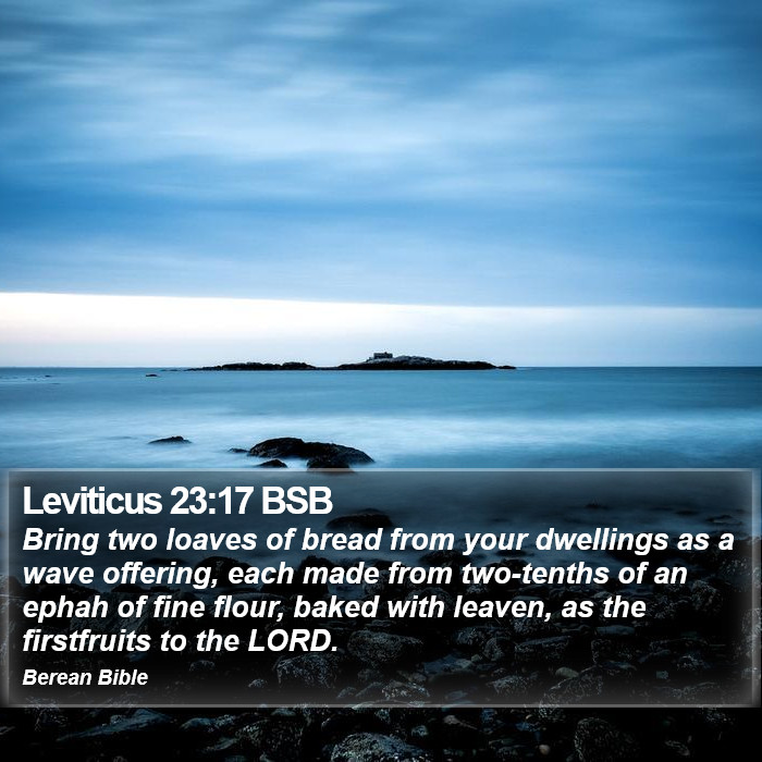 Leviticus 23:17 BSB Bible Study