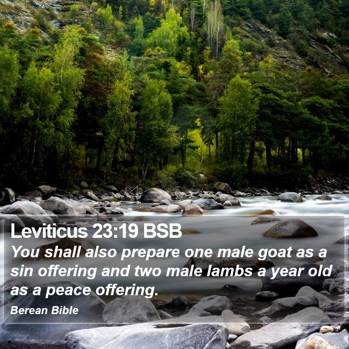 Leviticus 23:19 BSB Bible Study