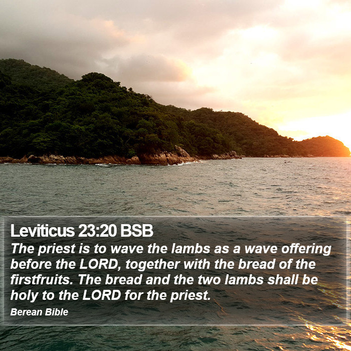 Leviticus 23:20 BSB Bible Study