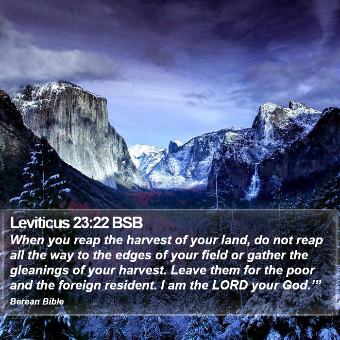 Leviticus 23:22 BSB Bible Study