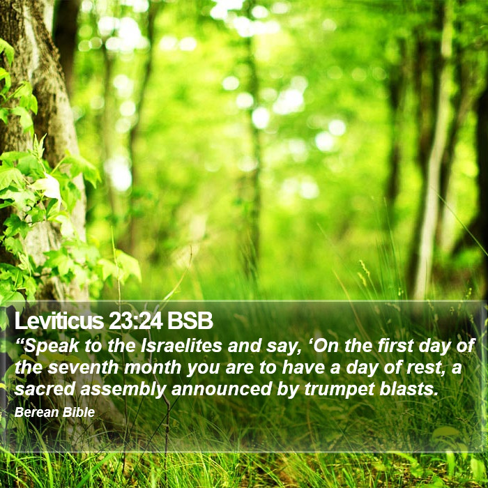 Leviticus 23:24 BSB Bible Study