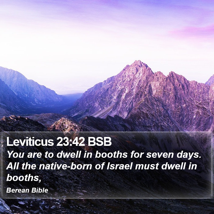 Leviticus 23:42 BSB Bible Study