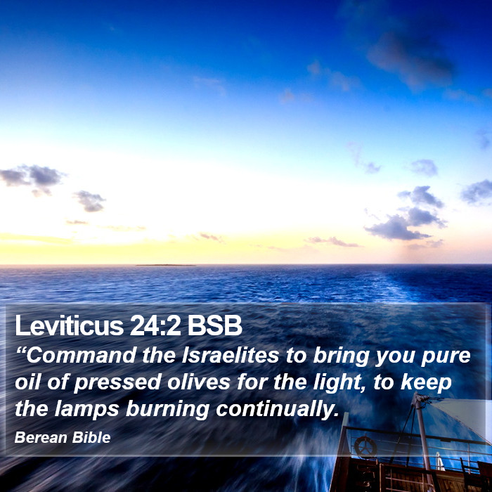 Leviticus 24:2 BSB Bible Study