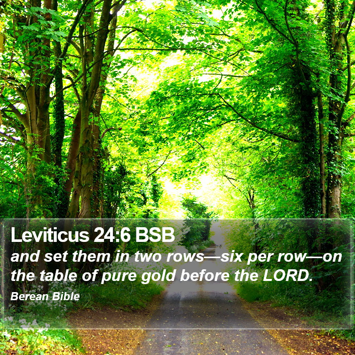 Leviticus 24:6 BSB Bible Study