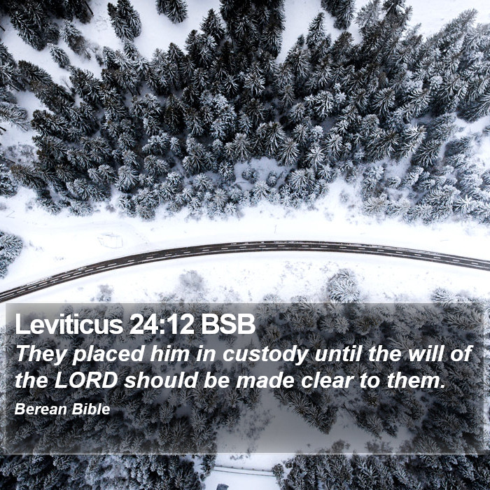 Leviticus 24:12 BSB Bible Study