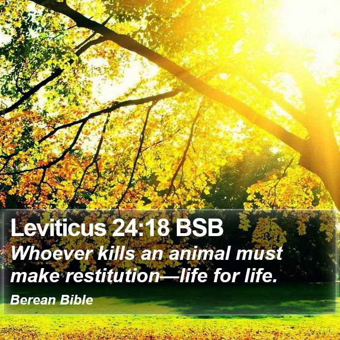 Leviticus 24:18 BSB Bible Study