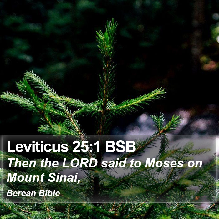 Leviticus 25:1 BSB Bible Study