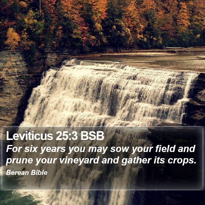 Leviticus 25:3 BSB Bible Study