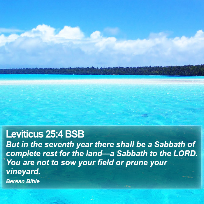 Leviticus 25:4 BSB Bible Study