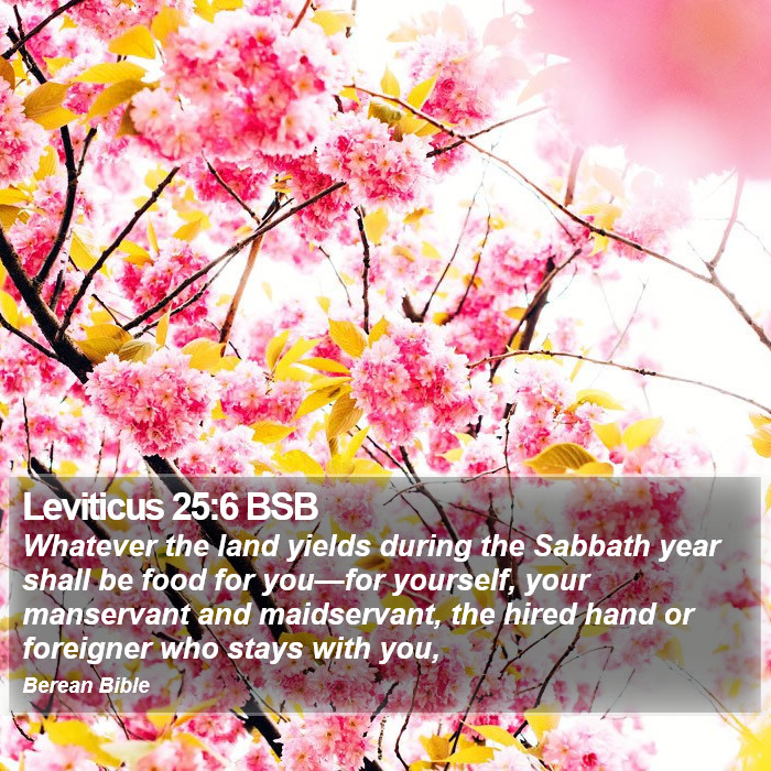 Leviticus 25:6 BSB Bible Study