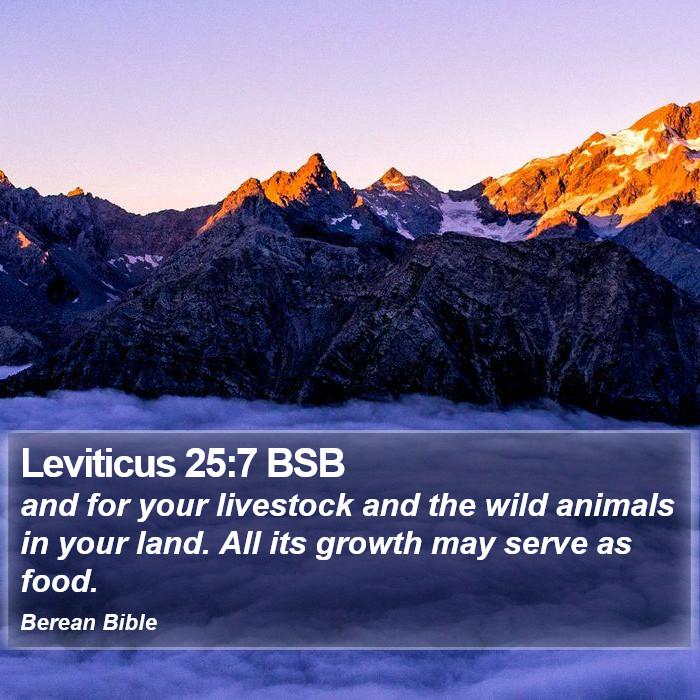 Leviticus 25:7 BSB Bible Study