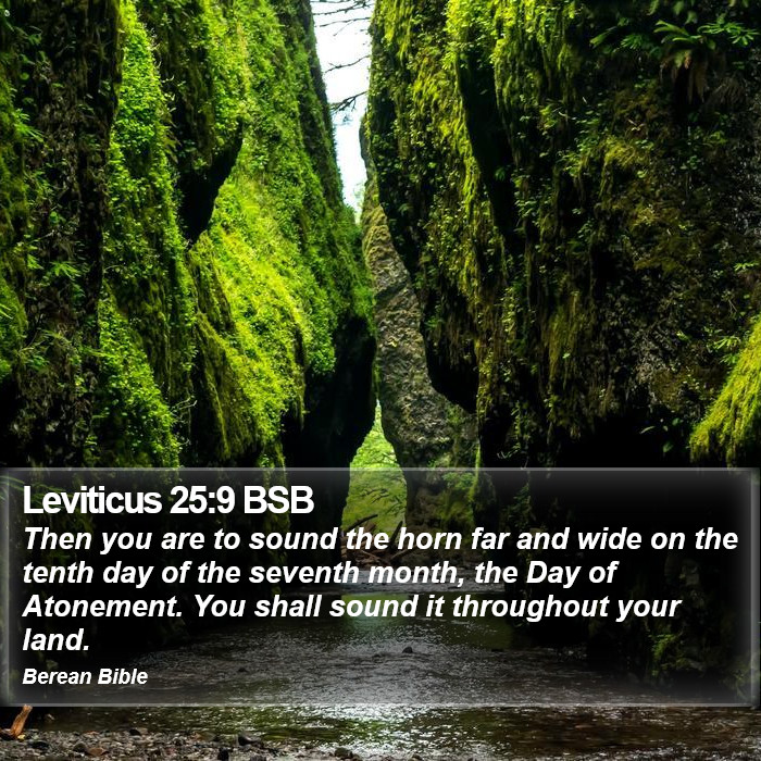 Leviticus 25:9 BSB Bible Study