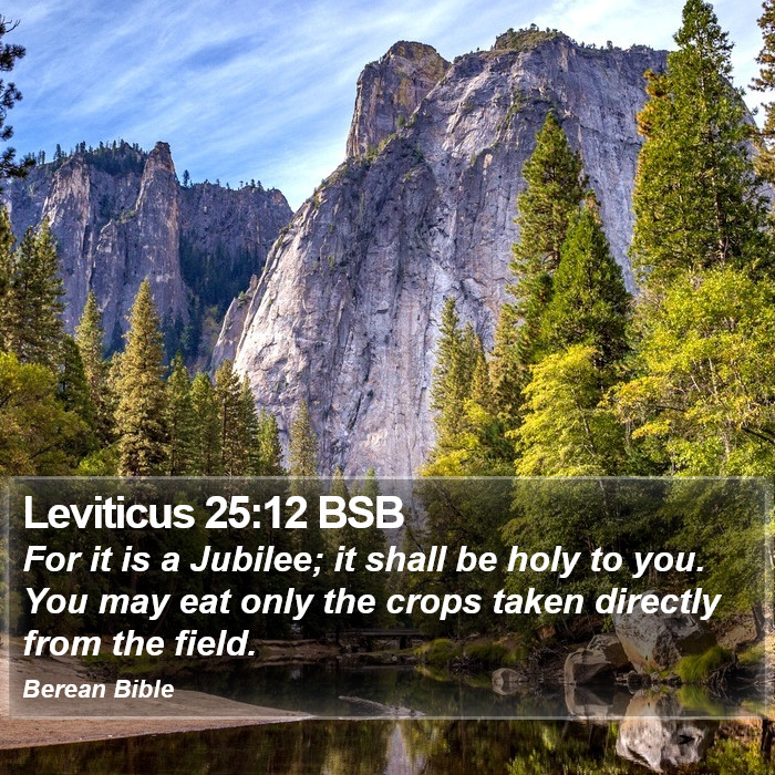 Leviticus 25:12 BSB Bible Study