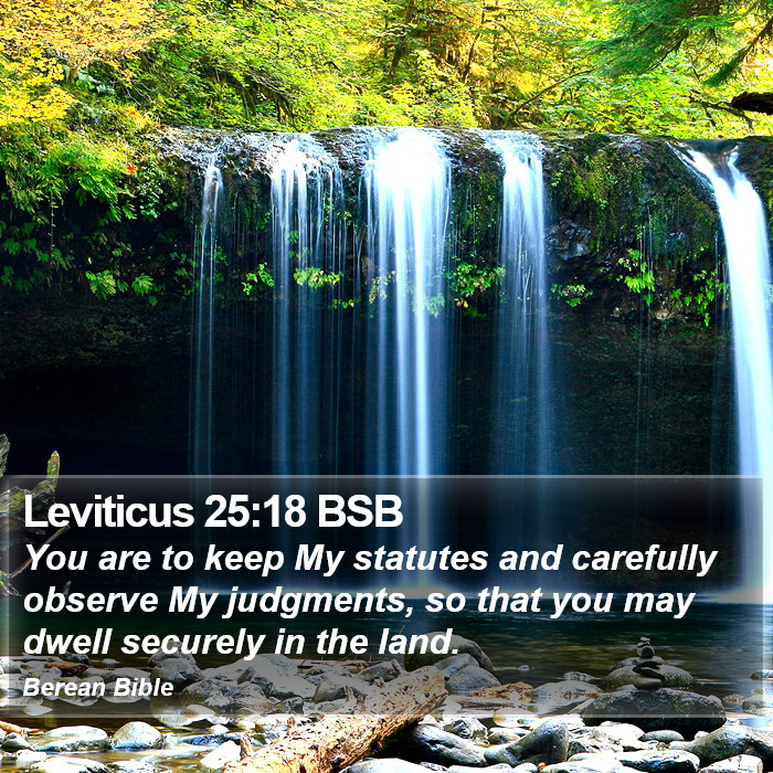 Leviticus 25:18 BSB Bible Study