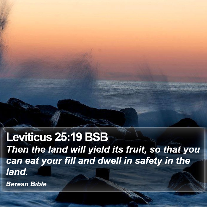 Leviticus 25:19 BSB Bible Study