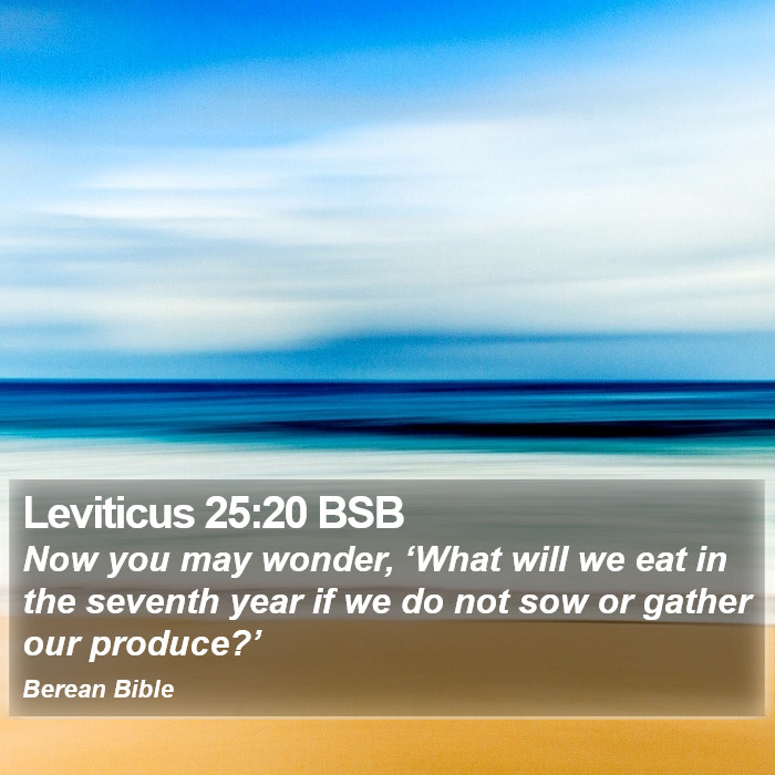 Leviticus 25:20 BSB Bible Study