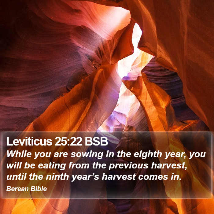 Leviticus 25:22 BSB Bible Study