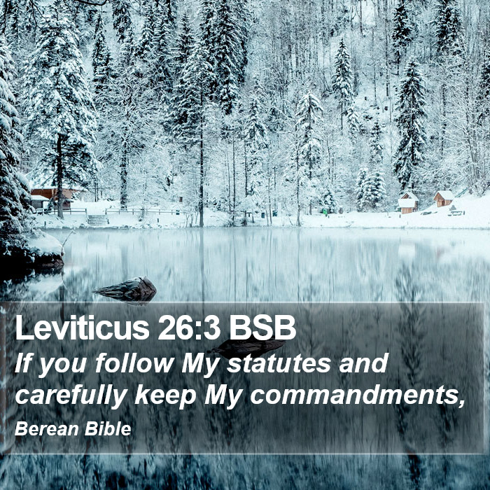 Leviticus 26:3 BSB Bible Study