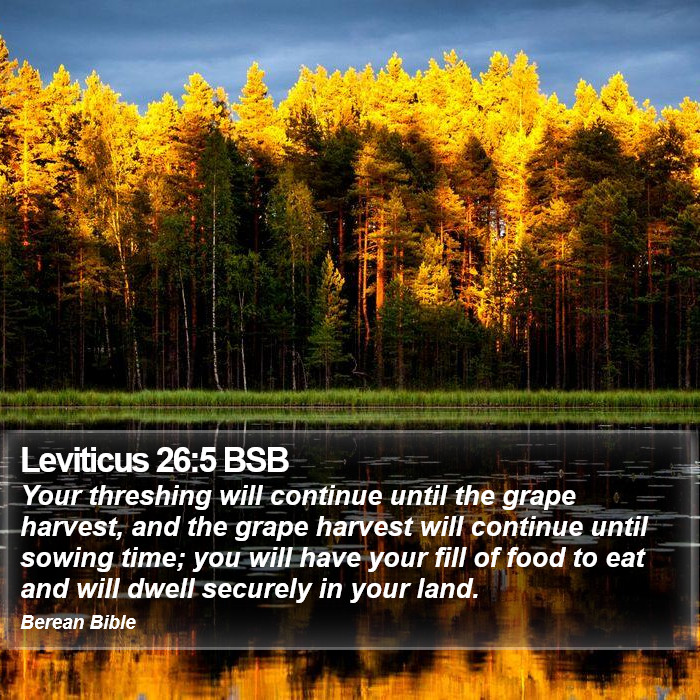 Leviticus 26:5 BSB Bible Study