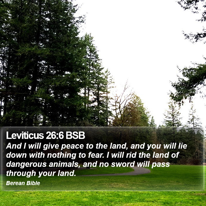 Leviticus 26:6 BSB Bible Study