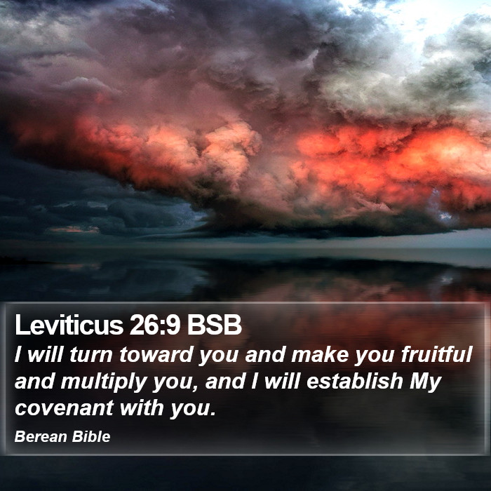 Leviticus 26:9 BSB Bible Study