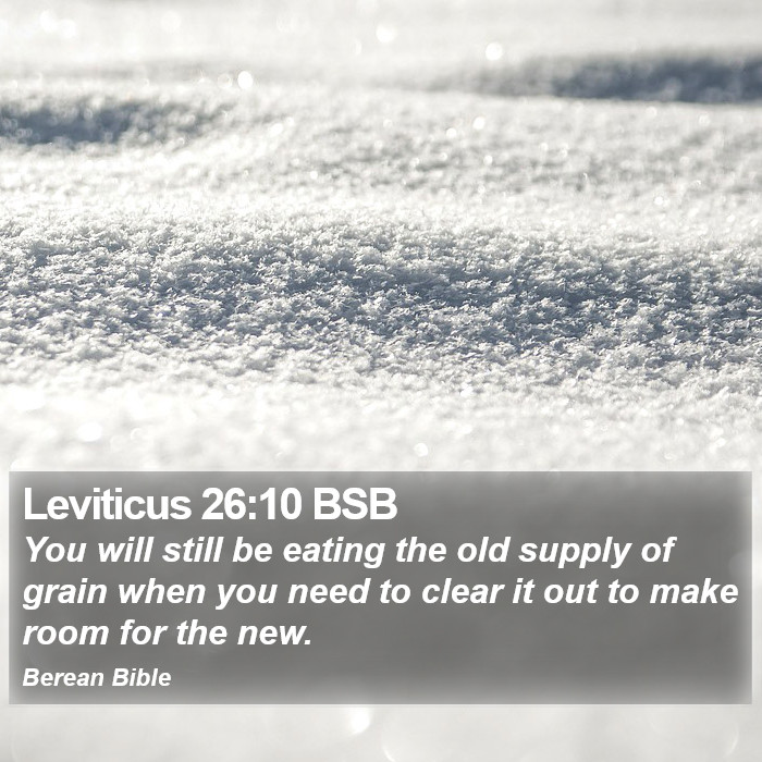 Leviticus 26:10 BSB Bible Study