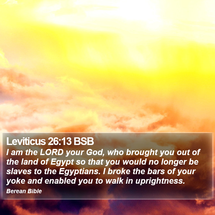 Leviticus 26:13 BSB Bible Study