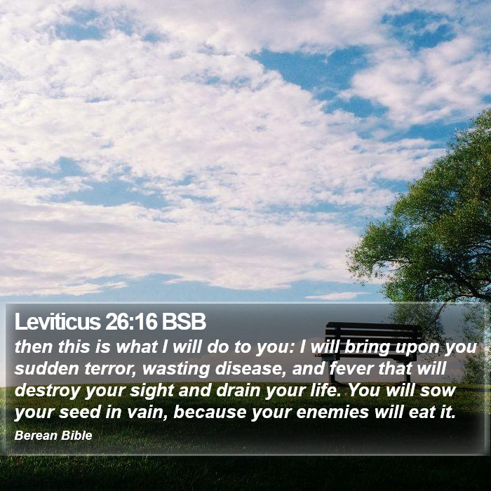 Leviticus 26:16 BSB Bible Study