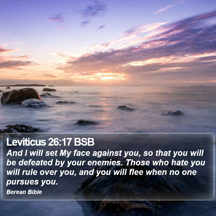 Leviticus 26:17 BSB Bible Study