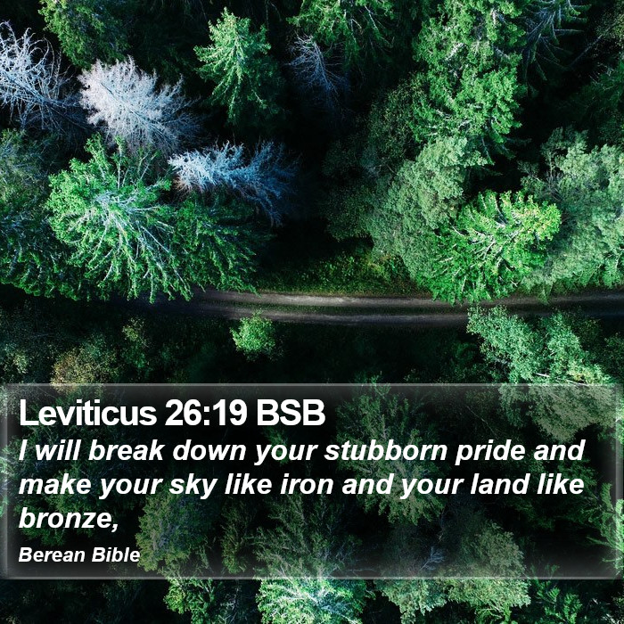 Leviticus 26:19 BSB Bible Study