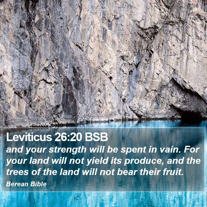 Leviticus 26:20 BSB Bible Study