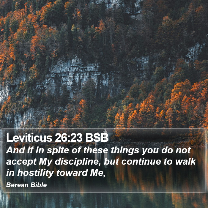 Leviticus 26:23 BSB Bible Study