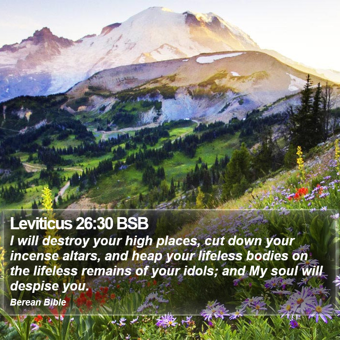 Leviticus 26:30 BSB Bible Study