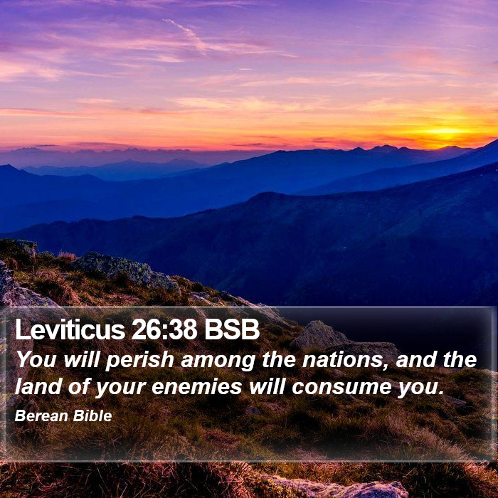 Leviticus 26:38 BSB Bible Study